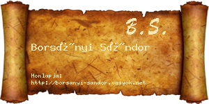 Borsányi Sándor névjegykártya