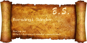 Borsányi Sándor névjegykártya